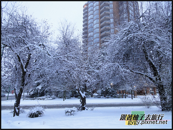 991125_溫哥華第二場積雪0081.jpg