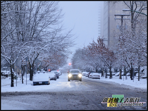 991125_溫哥華第二場積雪0094.jpg