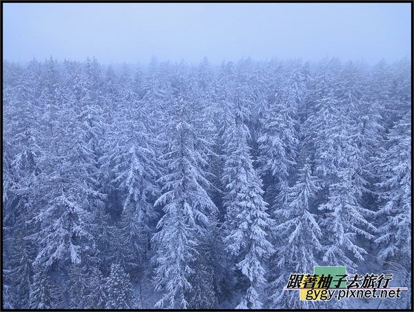 991125_溫哥華第二場積雪0112.jpg