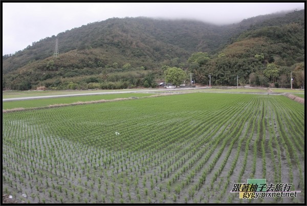 台東關山│藍白式民宿010.jpg