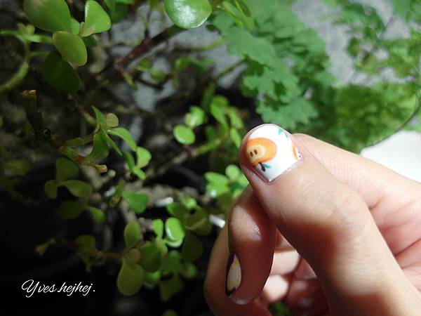 2013-02-11 11.04.36.jpg 2013-02-11 11.04.36.jpg