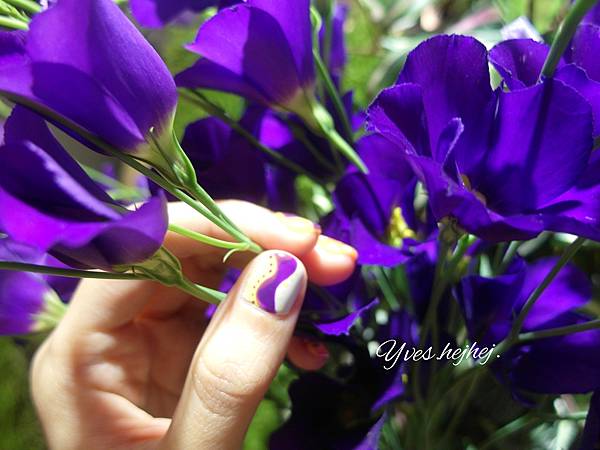 2013-02-11 11.03.08.jpg 2013-02-11 11.03.08.jpg