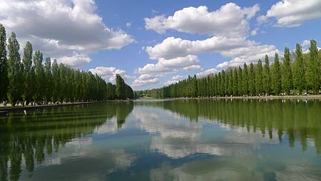 P1020961 P1020961