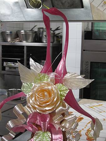 IMG_6705 IMG_6705