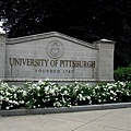 U Pitt