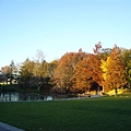 2008_0604 The Uni Autumn II.JPG