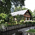 司佩蕾森林/Spreewald