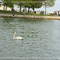 Centre Island4.jpg