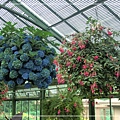 Floral Showhouse10.jpg