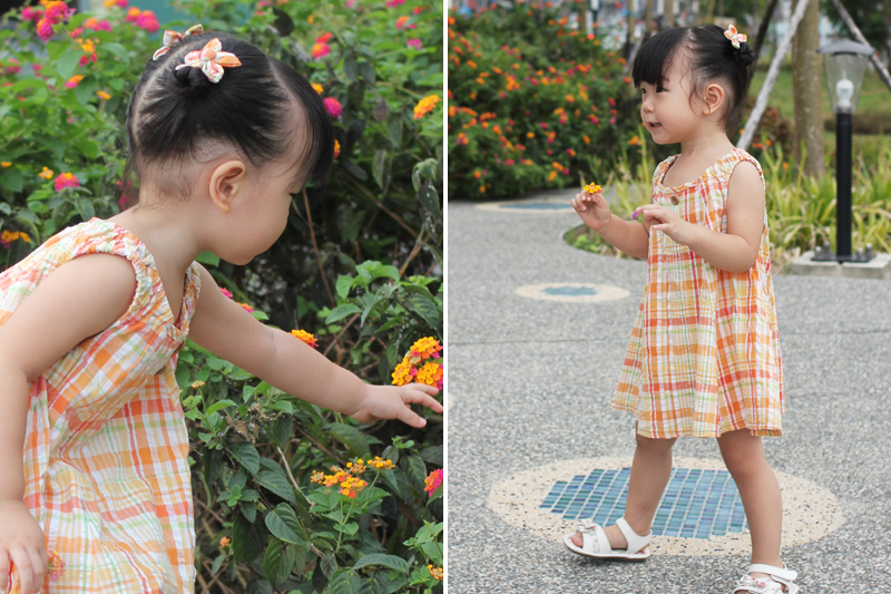 0828_3.jpg 0828_3.jpg