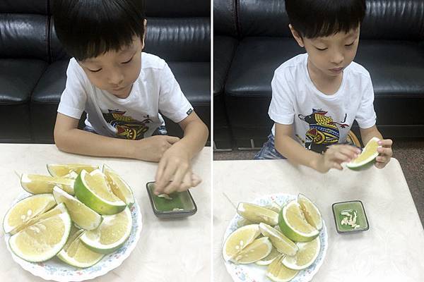 柚子盆栽1.jpg 柚子盆栽1.jpg