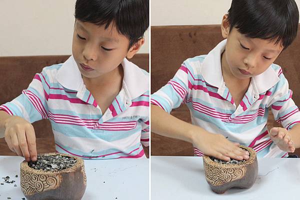 柚子盆栽4.jpg 柚子盆栽4.jpg