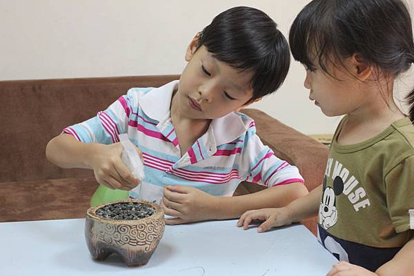 柚子盆栽5.jpg 柚子盆栽5.jpg