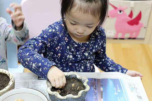 IMG_3774.jpg IMG_3774.jpg