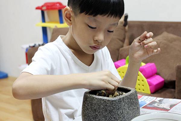 IMG_3788.jpg IMG_3788.jpg