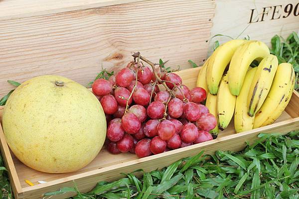 IMG_3524.jpg IMG_3524.jpg