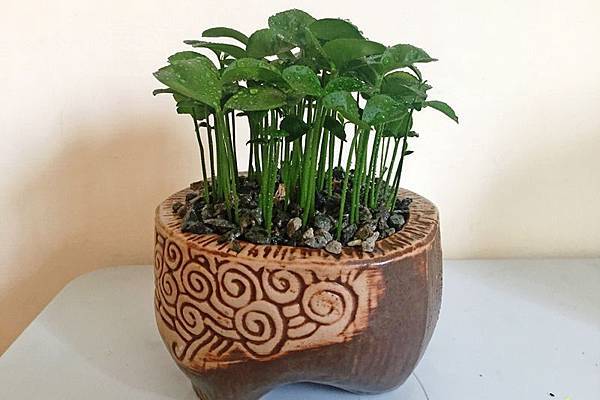 IMG_0675.jpg IMG_0675.jpg