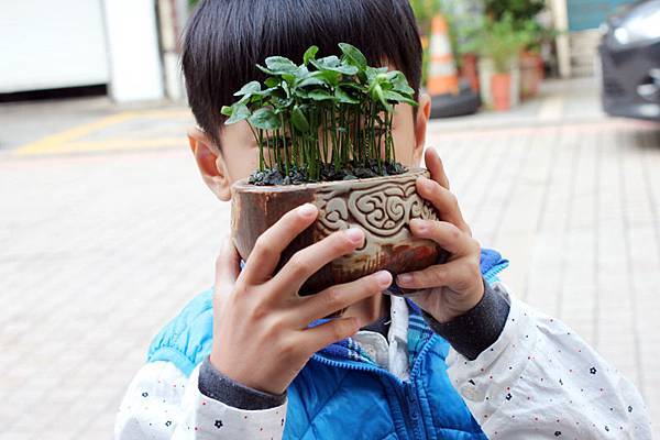 IMG_4256.jpg IMG_4256.jpg