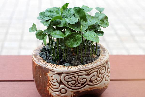 IMG_4251.jpg IMG_4251.jpg