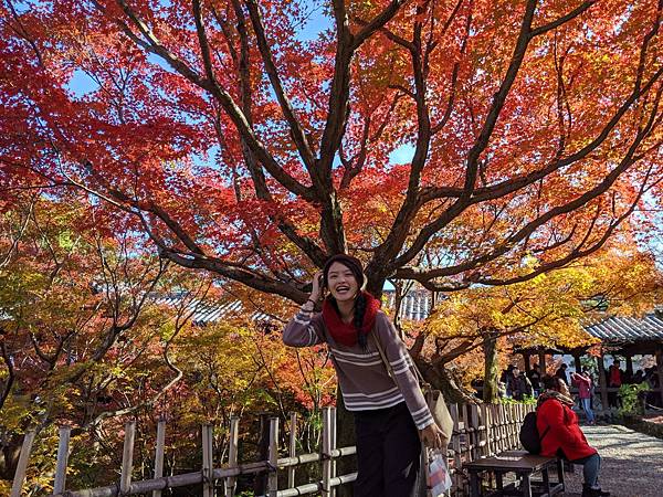 [遊記] 看2019京都賞楓的遊記過過乾癮