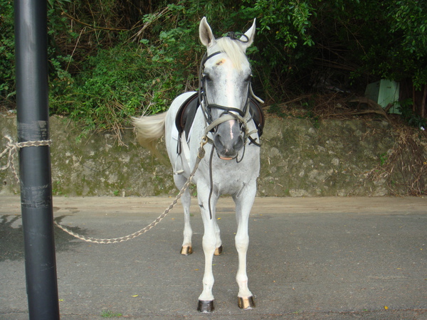 DSC01136.JPG