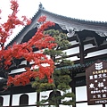 第一站賞楓景點-東福寺