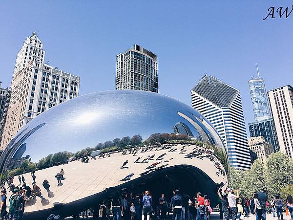 THE BEAN.jpg