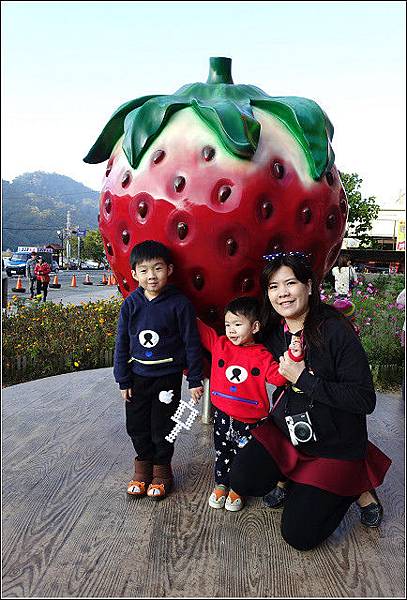 採草莓-奇奇草莓園 (12).jpg