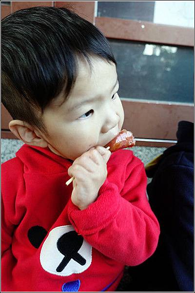 採草莓-奇奇草莓園 (22).jpg