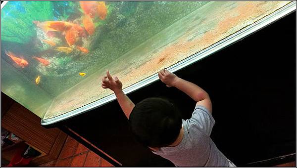 活跳跳活蝦餐廳  (77).jpg