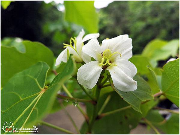 鴛鴦池農場 - 078.jpg