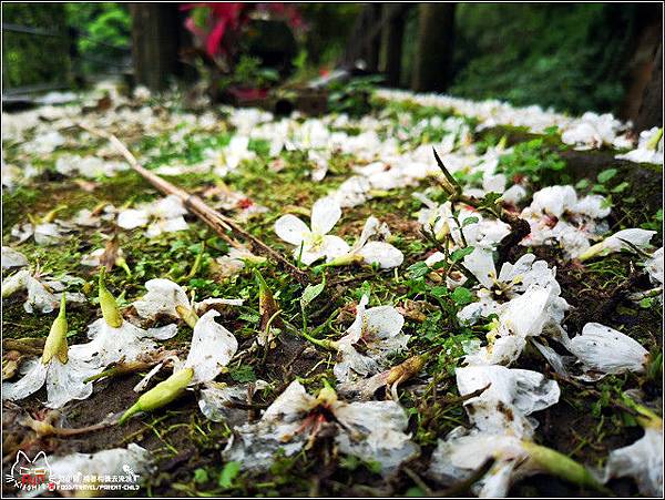 鴛鴦池農場 - 082.jpg