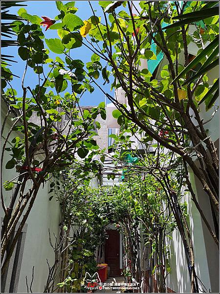 仙人掌冰 - 009.jpg