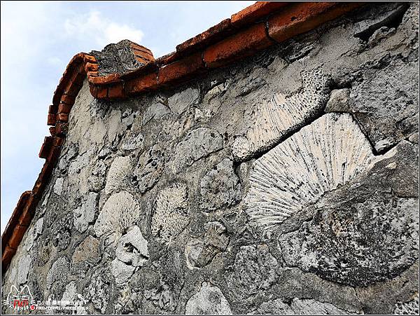 望安島綠蠵龜故鄉 - 024.jpg