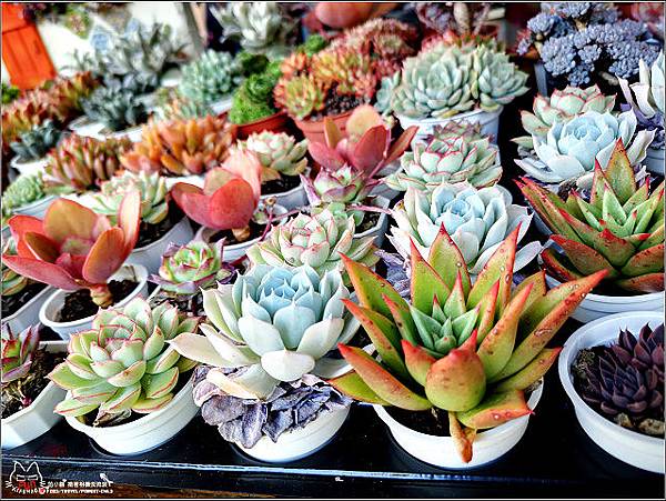 2019諾瓦大型活動 - 059.jpg