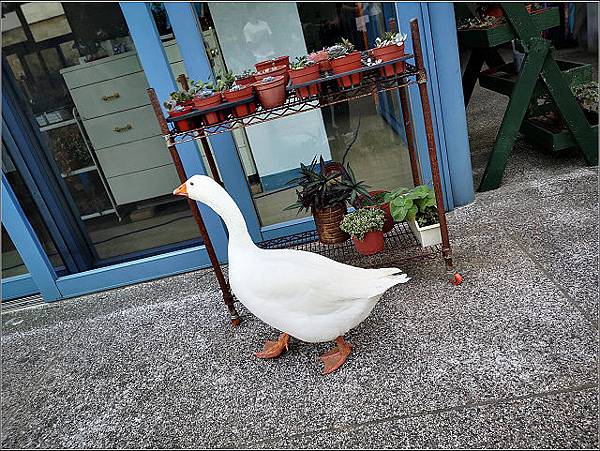 2019諾瓦大型活動 - 073.jpg