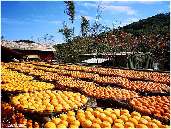 味衛佳柿餅 - 054.jpg