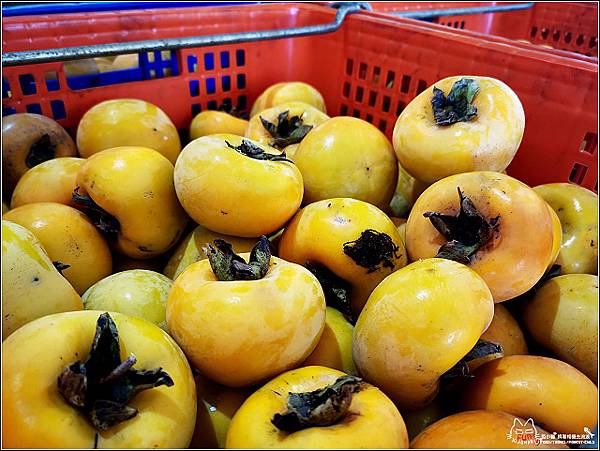 金漢柿餅 - 007.jpg