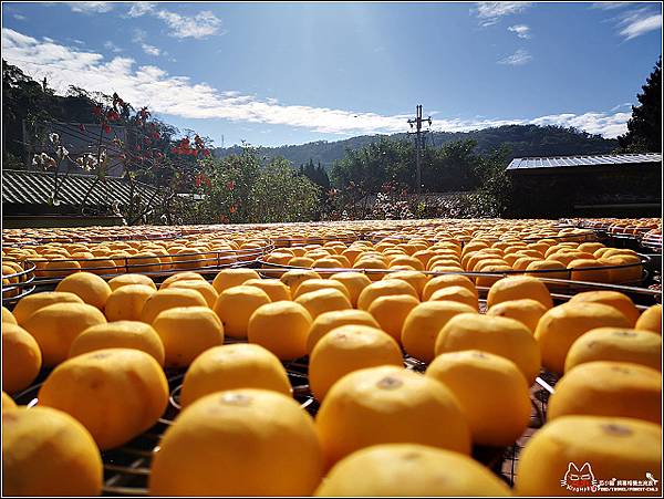 金漢柿餅 - 027.jpg