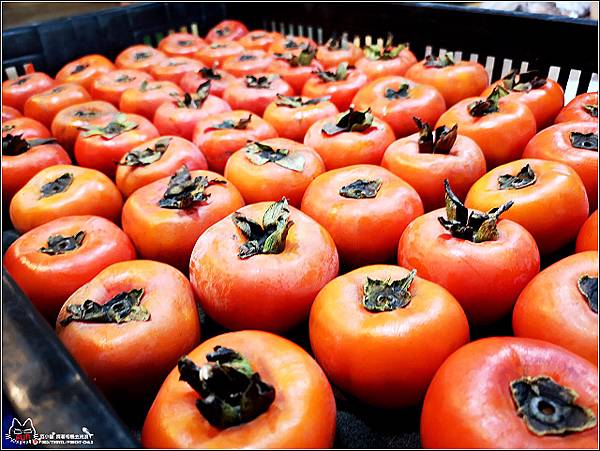 金漢柿餅 - 105.jpg