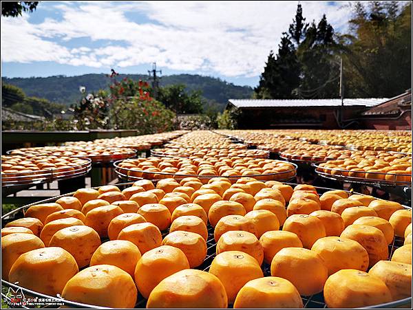 金漢柿餅 - 111.jpg