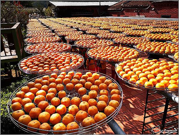 金漢柿餅 - 115.jpg