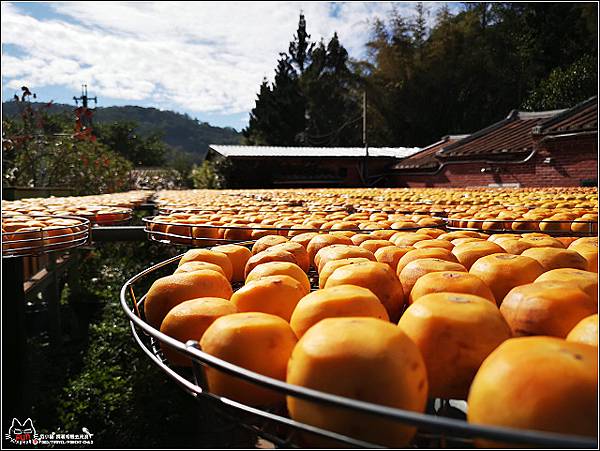 金漢柿餅 - 114.jpg