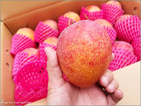 芒果 - 006.jpg
