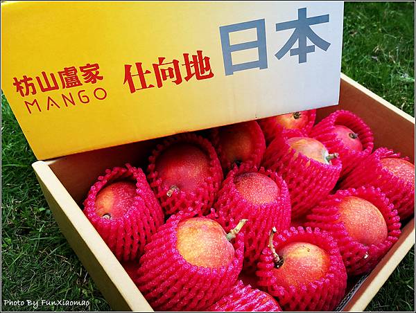 盧家芒果 - 005.jpg