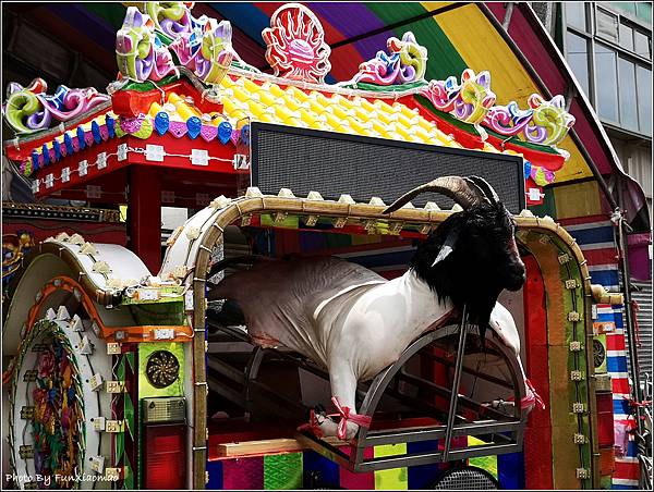 富岡集義祠 義民祭 賽神豬 - 014.jpg