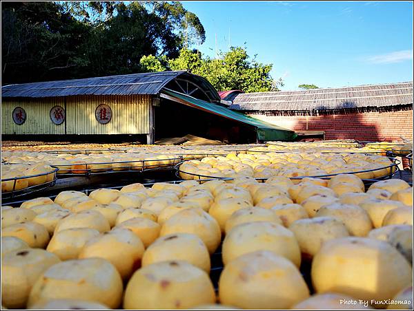 味衛佳柿餅 - 014.jpg