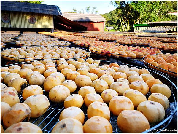 味衛佳柿餅 - 028.jpg