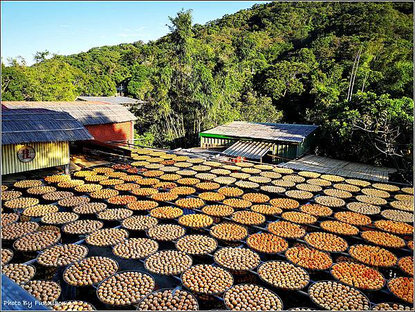 味衛佳柿餅 - 032.jpg