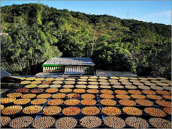 味衛佳柿餅 - 035.jpg